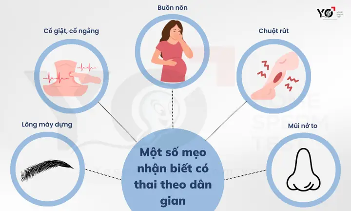 Nhận Biết Có Thai Theo Dân Gian: 20 Mẹo Vặt Phổ Biến & Kinh Nghiệm Truyền Lại