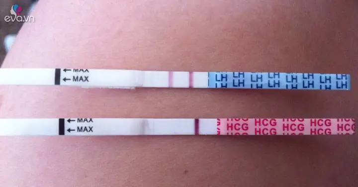 Que Thử Thai 2 Vạch: Hướng Dẫn Nhận Biết Kết Quả Chính Xác & Cách Đọc Kết Quả
