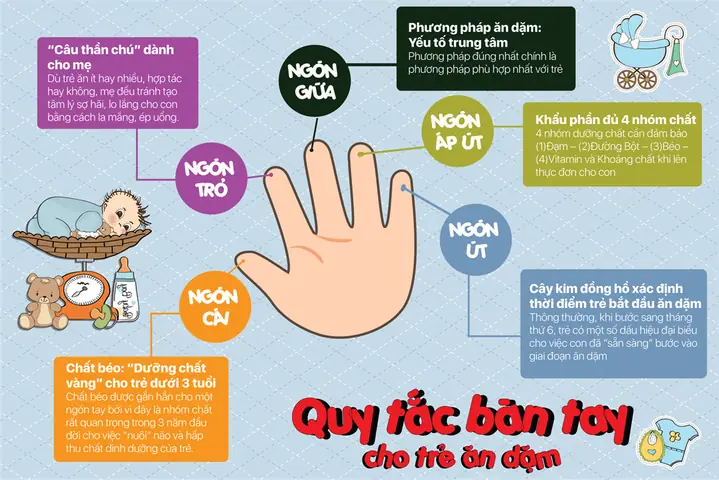 Những Điều Cần Biết Khi Cho Trẻ Ăn Dặm Đúng Cách Và An Toàn Những Điều Cần Biết Khi Cho Trẻ Ăn Dặm Đúng Cách Và An Toàn
