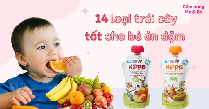 20+ Loại Quả Cho Bé Ăn Dặm Thơm Ngon, Giàu Dinh Dưỡng & Cách Chế Biến