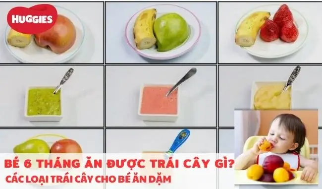 20+ Loại Quả Cho Bé Ăn Dặm Thơm Ngon, Giàu Dinh Dưỡng & Cách Chế Biến