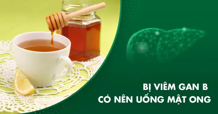 Nóng Gan Uống Mật Ong Có Tốt Không? Tác Dụng, Lợi Ích Và Lưu Ý Sử Dụng Nóng Gan Uống Mật Ong Có Tốt Không? Tác Dụng, Lợi Ích Và Lưu Ý Sử Dụng