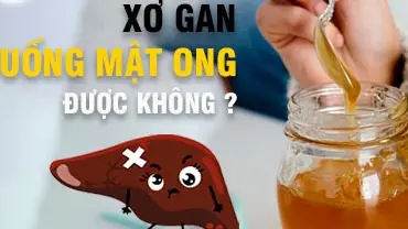 Nóng Gan Uống Mật Ong Có Tốt Không? Tác Dụng, Lợi Ích Và Lưu Ý Sử Dụng Nóng Gan Uống Mật Ong Có Tốt Không? Tác Dụng, Lợi Ích Và Lưu Ý Sử Dụng