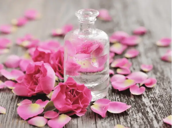 Nước Hoa Hồng Có Tác Dụng Gì Cho Da Mặt? Lợi Ích & Cách Sử Dụng Hiệu Quả