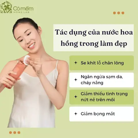 Nước Hoa Hồng Có Tác Dụng Gì Cho Da Mặt? Lợi Ích & Cách Sử Dụng Hiệu Quả