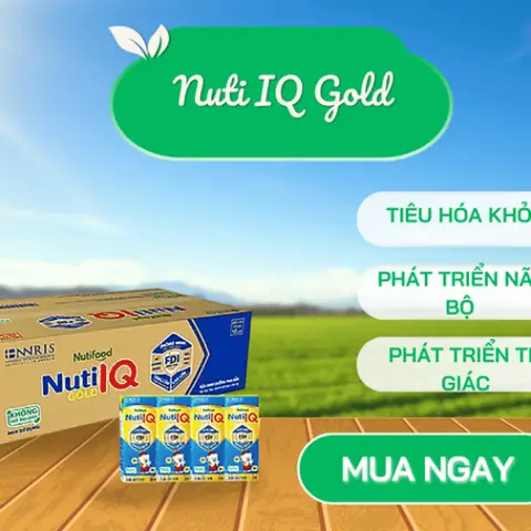 Sữa Nuti Iq Gold Hộp Pha Sẵn: Lợi Ích, Thành Phần Và Cách Chọn Cho Bé Yêu