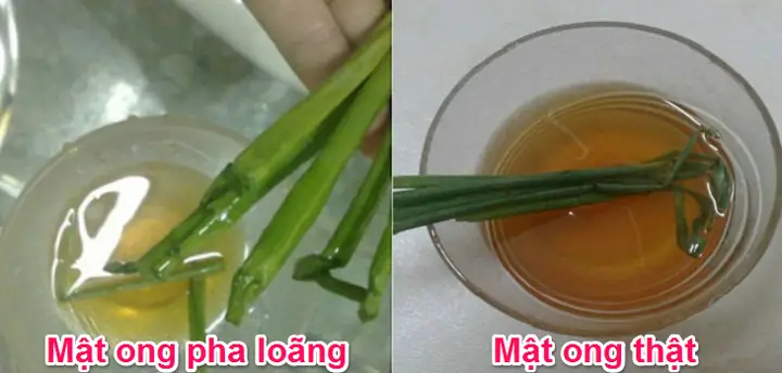 Hướng Dẫn Phân Biệt Mật Ong Thật & Giả: Mẹo Nhận Biết Chuẩn Xác & An Toàn