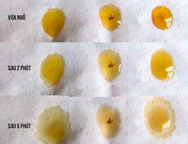 Hướng Dẫn Phân Biệt Mật Ong Thật & Giả: Mẹo Nhận Biết Chuẩn Xác & An Toàn