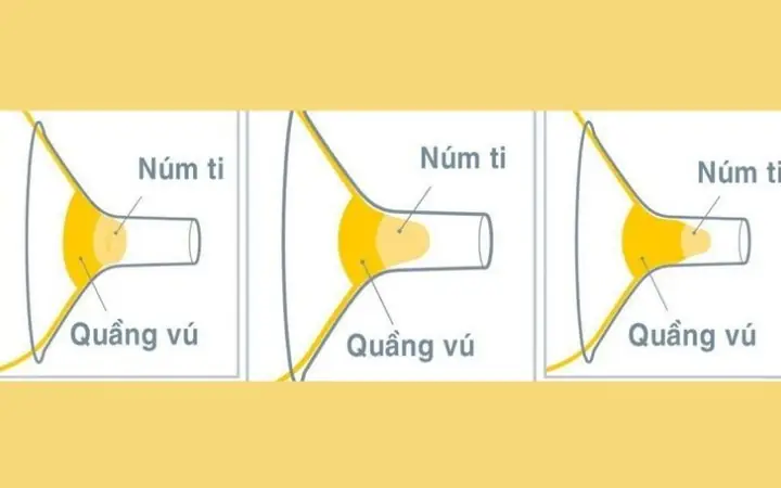 Phễu Hút Sữa Thế Nào Là Vừa Chuẩn Size, Hút Êm Không Đau Rát