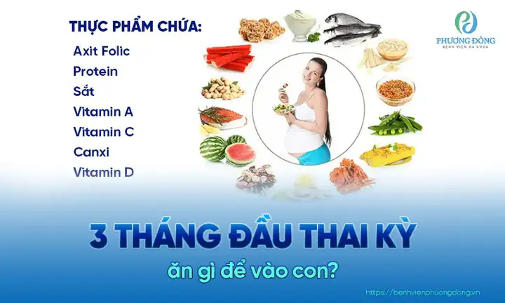 Phụ Nữ Mang Thai Tháng Đầu Nên Ăn Gì Để Con Khỏe Mạnh Và Phát Triển Toàn Diện?