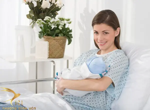 Phụ Nữ Sau Sinh Ăn Tổ Yến Được Không? Thời Điểm Vàng & Lưu Ý Bổ Sung Dinh Dưỡng