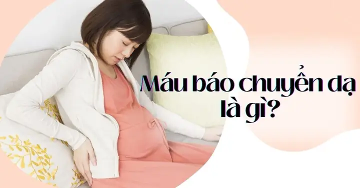 Ra Máu Báo Sau Bao Lâu Thì Đẻ? Dấu Hiệu Chuyển Dạ Và Thời Gian Dự Kiến Ra Máu Báo Sau Bao Lâu Thì Đẻ? Dấu Hiệu Chuyển Dạ Và Thời Gian Dự Kiến