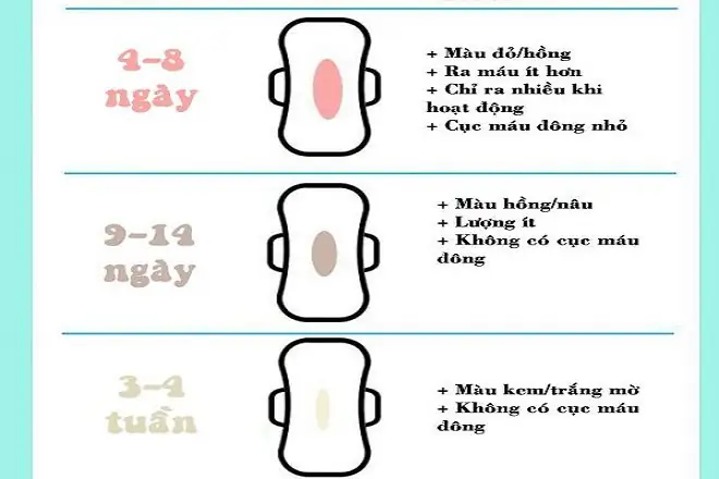 Ra Máu Báo Sau Bao Lâu Thì Đẻ? Dấu Hiệu Chuyển Dạ Và Thời Gian Dự Kiến Ra Máu Báo Sau Bao Lâu Thì Đẻ? Dấu Hiệu Chuyển Dạ Và Thời Gian Dự Kiến