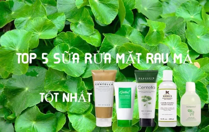 Review Sữa Rửa Mặt Rau Má Rosa: Công Dụng, Thành Phần & Đánh Giá Chi Tiết