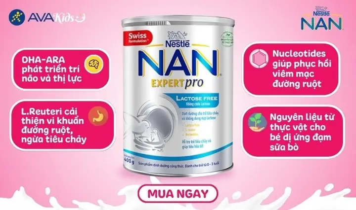 Rối Loạn Tiêu Hóa Có Nên Uống Sữa Không? Giải Đáp Từ Chuyên Gia & Lời Khuyên Rối Loạn Tiêu Hóa Có Nên Uống Sữa Không? Giải Đáp Từ Chuyên Gia & Lời Khuyên