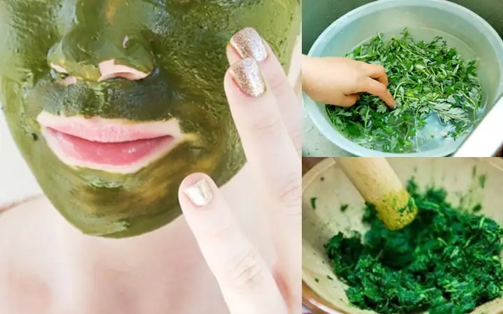 Rửa Mặt Bằng Nước Ngải Cứu: Bí Quyết Làm Đẹp Da Từ Thiên Nhiên Cho Mọi Loại Da