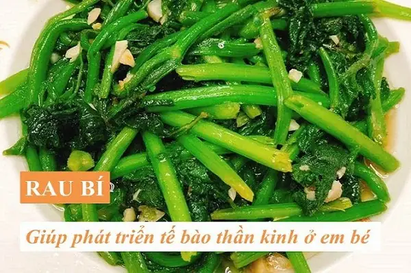 Sau Sinh Ăn Rau Bí Được Không? Lợi Ích & Lưu Ý Cho Mẹ