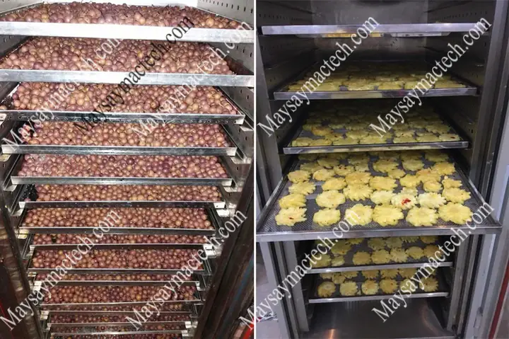 Sấy Lạnh Hoa Quả Là Gì? Giải Đáp Chi Tiết Công Nghệ & Lợi Ích Vượt Trội