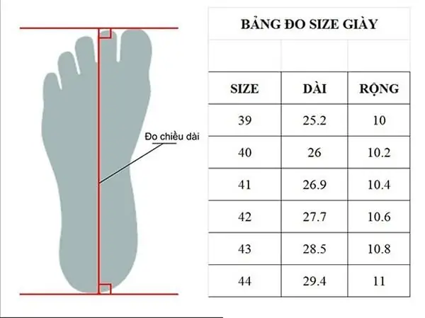 Hướng Dẫn Chọn Size Giày Búp Bê Cho Bé Chuẩn Nhất: Từ Đo Chân Đến Chọn Giày Phù Hợp Hướng Dẫn Chọn Size Giày Búp Bê Cho Bé Chuẩn Nhất: Từ Đo Chân Đến Chọn Giày Phù Hợp