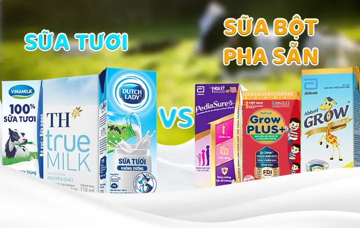 So Sánh Các Loại Sữa Bột Pha Sẵn Tốt Nhất Cho Bé: Tư Vấn Chọn Sản Phẩm Phù Hợp