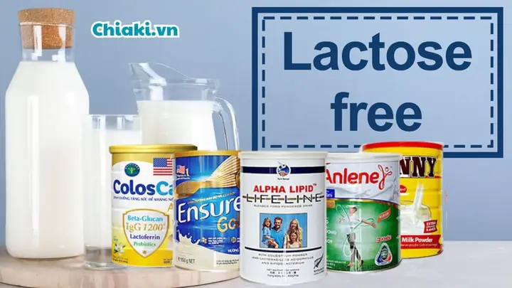Sữa Cho Người Không Dung Nạp Lactose: Lựa Chọn Tốt Nhất Cho Hệ Tiêu Hóa Khỏe Mạnh