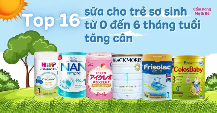 Chọn Sữa Cho Bé 0-6 Tháng Tuổi: Tiêu Chí, Loại Tốt Nhất Và Lưu Ý