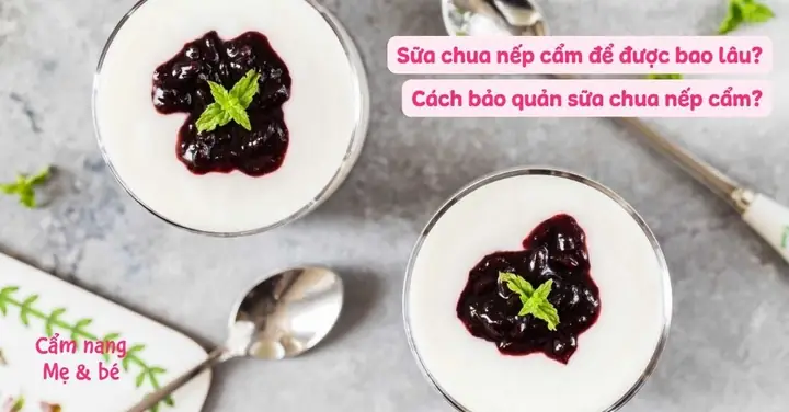 Sữa Chua Nếp Cẩm Bảo Quản Được Bao Lâu? Hướng Dẫn Chi Tiết Cách Giữ Tươi Ngon Lâu Nhất