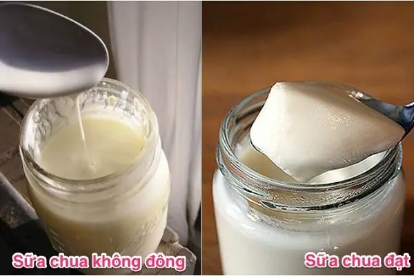 Sữa Chua Tự Làm Để Được Bao Lâu? Hướng Dẫn Bảo Quản Tối Ưu