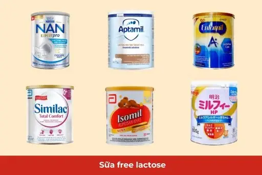 Sữa Free Lactose Mua Ở Đâu Uy Tín, Giá Tốt Nhất 2026 Sữa Free Lactose Mua Ở Đâu Uy Tín, Giá Tốt Nhất 2026