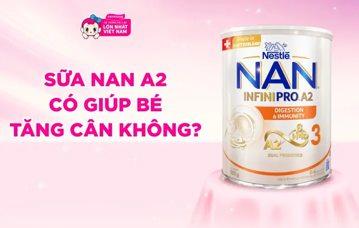 Sữa Nan 2 Có Tăng Cân Không? Chuyên Gia Giải Đáp & Lời Khuyên Chi Tiết Cho Bé 6-12 Tháng
