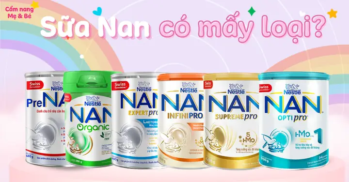 Sữa Nan Nga: Có Mấy Loại Và Loại Nào Tốt Nhất Theo Độ Tuổi?