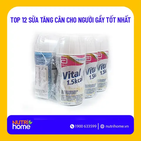 Sữa Tăng Cân Cho Người Gầy: Lựa Chọn Tốt Nhất & Bí Quyết Tăng Cân Hiệu Quả