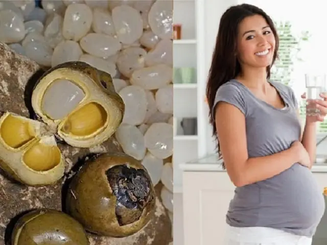 Hạt Đác Cho Bà Bầu: Lợi Ích Tuyệt Vời & Lưu Ý Cần Biết