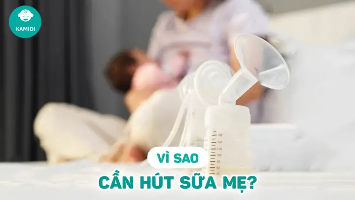 Tại Sao Cần Vắt Sữa Mẹ: Lợi Ích Toàn Diện & Hướng Dẫn Chi Tiết Cho Mẹ Bỉm Sữa