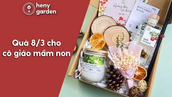 Gợi Ý Quà Tặng Cô Giáo Ngày 8/3: 15 Món Quà Ý Nghĩa, Thiết Thực Nhất Định Phải Có!