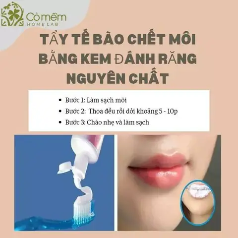Tẩy Môi Bằng Kem Đánh Răng: Bí Quyết Cho Đôi Môi Mịn Màng, Hồng Hào Tự Nhiên