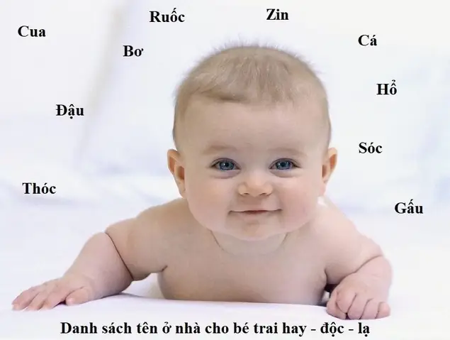 1001+ Tên Ở Nhà Cho Bé Trai Hay, Dễ Thương, Độc Đáo & Dễ Nuôi 1001+ Tên Ở Nhà Cho Bé Trai Hay, Dễ Thương, Độc Đáo & Dễ Nuôi