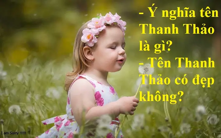 Ý Nghĩa Tên Thanh Thảo: Khám Phá Đầy Đủ, Phong Thủy Và Vận Mệnh