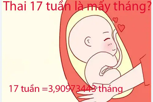 Thai 17 Tuần Là Bao Nhiêu Tháng Tuổi Thai Kỳ & Những Điều Mẹ Bầu Cần Biết Thai 17 Tuần Là Bao Nhiêu Tháng Tuổi Thai Kỳ & Những Điều Mẹ Bầu Cần Biết
