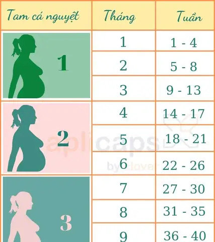 Thai 17 Tuần Là Bao Nhiêu Tháng Tuổi Thai Kỳ & Những Điều Mẹ Bầu Cần Biết Thai 17 Tuần Là Bao Nhiêu Tháng Tuổi Thai Kỳ & Những Điều Mẹ Bầu Cần Biết