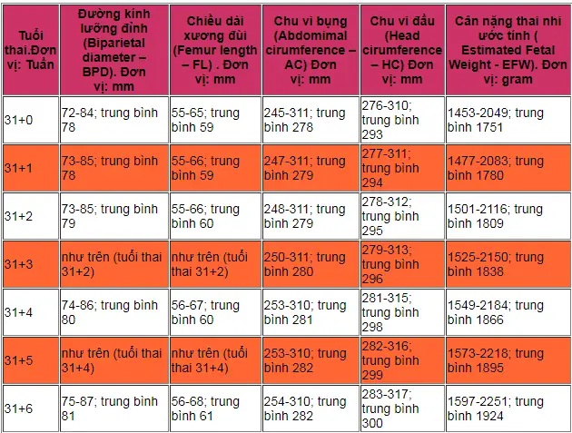 Thai 31 Tuần 5 Ngày Nặng Bao Nhiêu? Cân Nặng Chuẩn & Phát Triển Của Bé