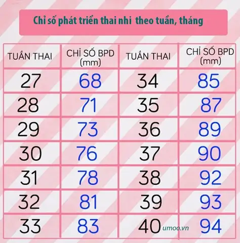 Thai Nhi 36 Tuần: Chỉ Số Chuẩn, Sự Phát Triển Và Lời Khuyên Cho Mẹ Bầu Thai Nhi 36 Tuần: Chỉ Số Chuẩn, Sự Phát Triển Và Lời Khuyên Cho Mẹ Bầu