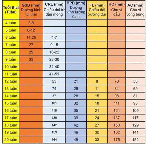 Hành Trình Phát Triển Của Thai Nhi Theo Từng Tuần Tuổi: Từ Phôi Thai Đến Em Bé Khỏe Mạnh
