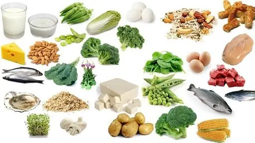 Thực Đơn Ăn Dặm Cho Bé 8 Tháng: Gợi Ý Món Ngon, Lịch Ăn & Lưu Ý Tăng Cân Chuẩn Who Thực Đơn Ăn Dặm Cho Bé 8 Tháng: Gợi Ý Món Ngon, Lịch Ăn & Lưu Ý Tăng Cân Chuẩn Who