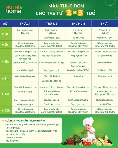Thực Đơn Ăn Cơm Cho Bé 2 Tuổi: Gợi Ý Thực Đơn Đảm Bảo Dinh Dưỡng & Giúp Bé Ăn Ngon Tăng Cân