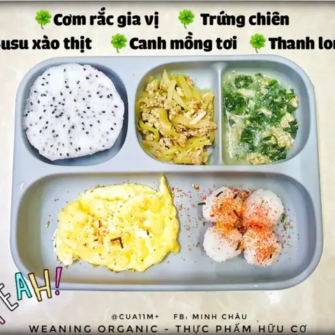 Thực Đơn Ăn Cơm Cho Bé: Hướng Dẫn Chi Tiết Từ A-z Cho Bé Ăn Ngon Miệng & Đủ Chất