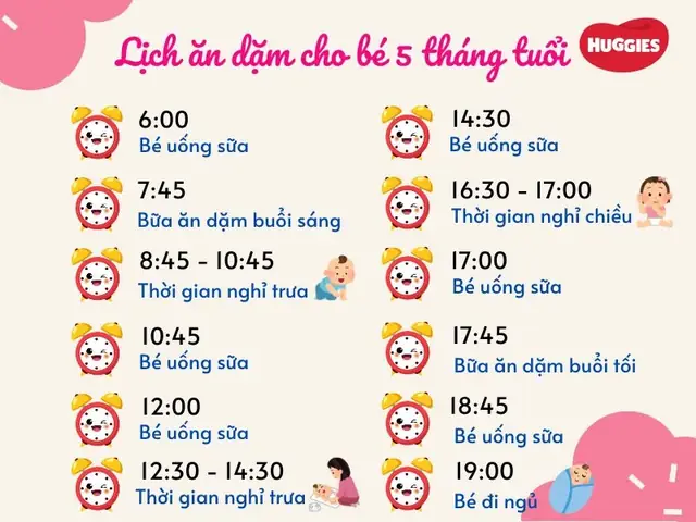 Thực Đơn Ăn Dặm Cho Bé 5.5 Tháng: Lịch Ăn, Món Ngon Dễ Tiêu Hóa, Tăng Cân Khoa Học