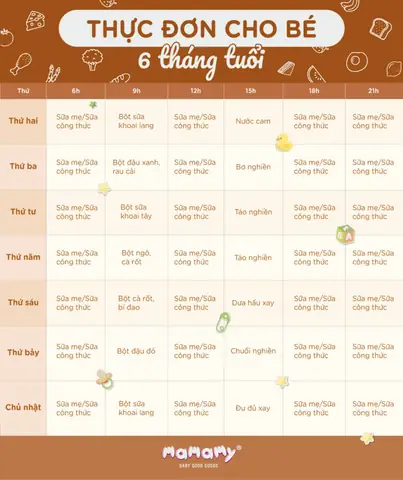 Thực Đơn Ăn Dặm Cho Bé 6 Tháng Tuổi: Đủ Chất, Tăng Cân, Khỏe Mạnh Theo Chuyên Gia