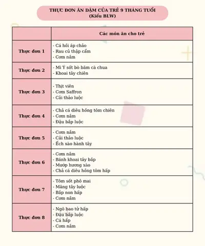 Thực Đơn Cho Bé 9 Tháng Tăng Cân An Toàn & Khoa Học: Gợi Ý 10+ Món Chuẩn Who