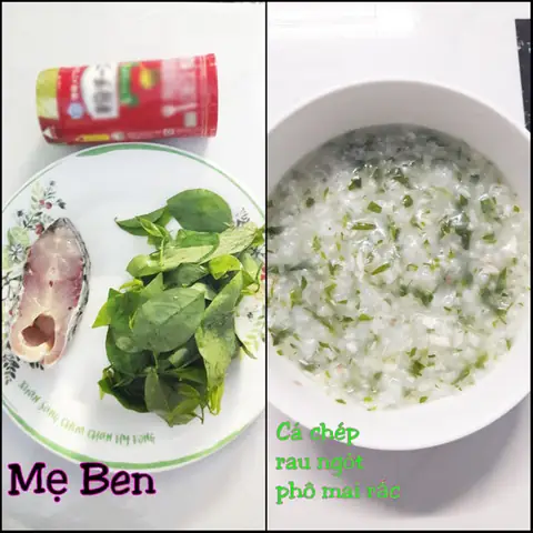 Thực Đơn Nấu Cháo Cho Bé 9 Tháng Tuổi: Đủ Dưỡng Chất, Tăng Cân Khỏe Mạnh